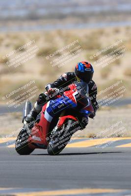 media/May-14-2023-SoCal Trackdays (Sun) [[024eb53b40]]/Turn 5 Tree of Life (1125am)/